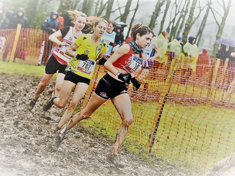 Sport élite et études